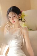 <strong>严沉违的规律、组织规律、清廉规律和糊</strong>